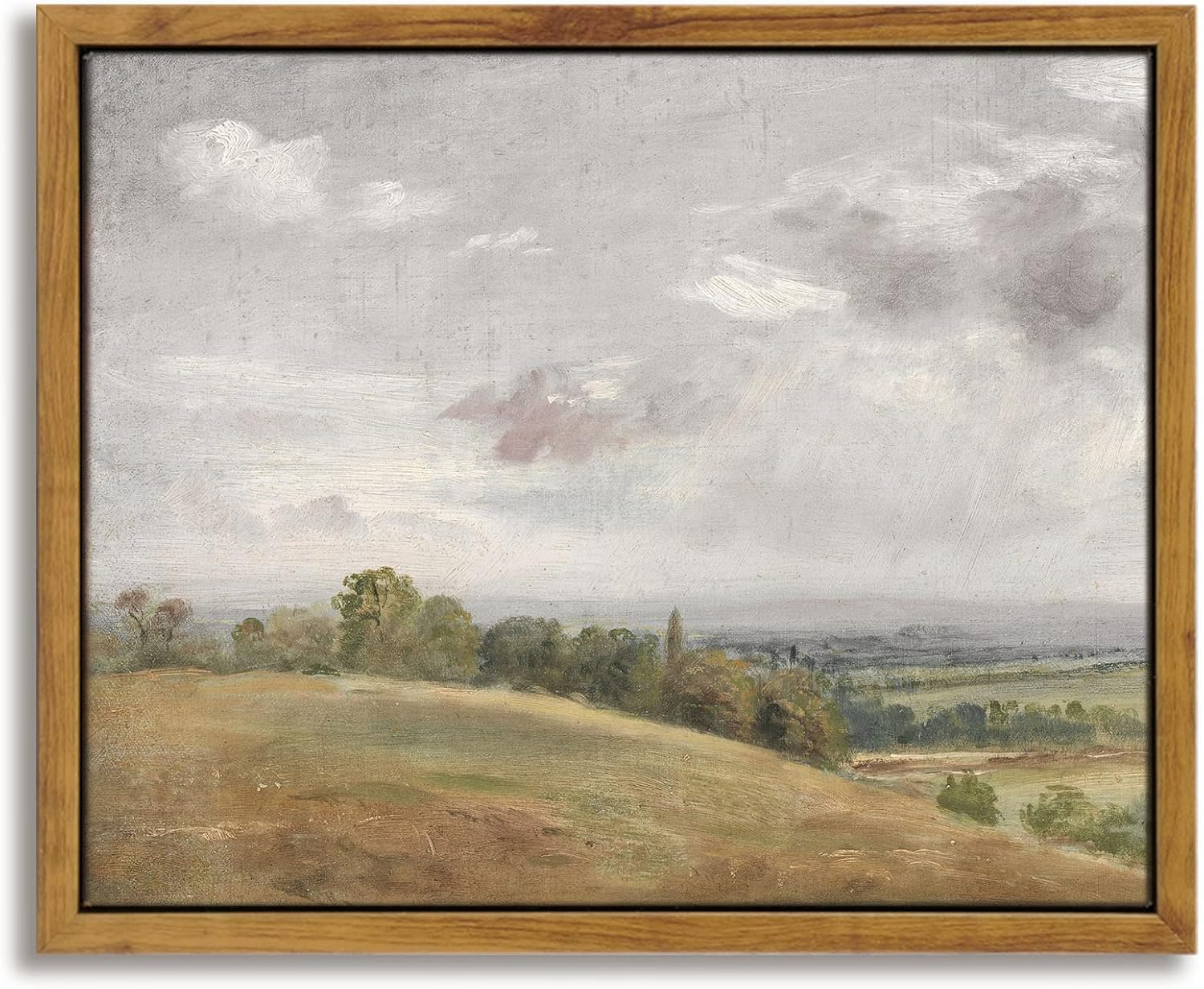 InSimSea Framed Canvas Wall Art Vintage Decor, Landscape Wall Art, Meadow with Flowers Art, Modern Farmhouse Decor, Cottagecore Bedroom Bathroom Office Decorations, 24"x36"